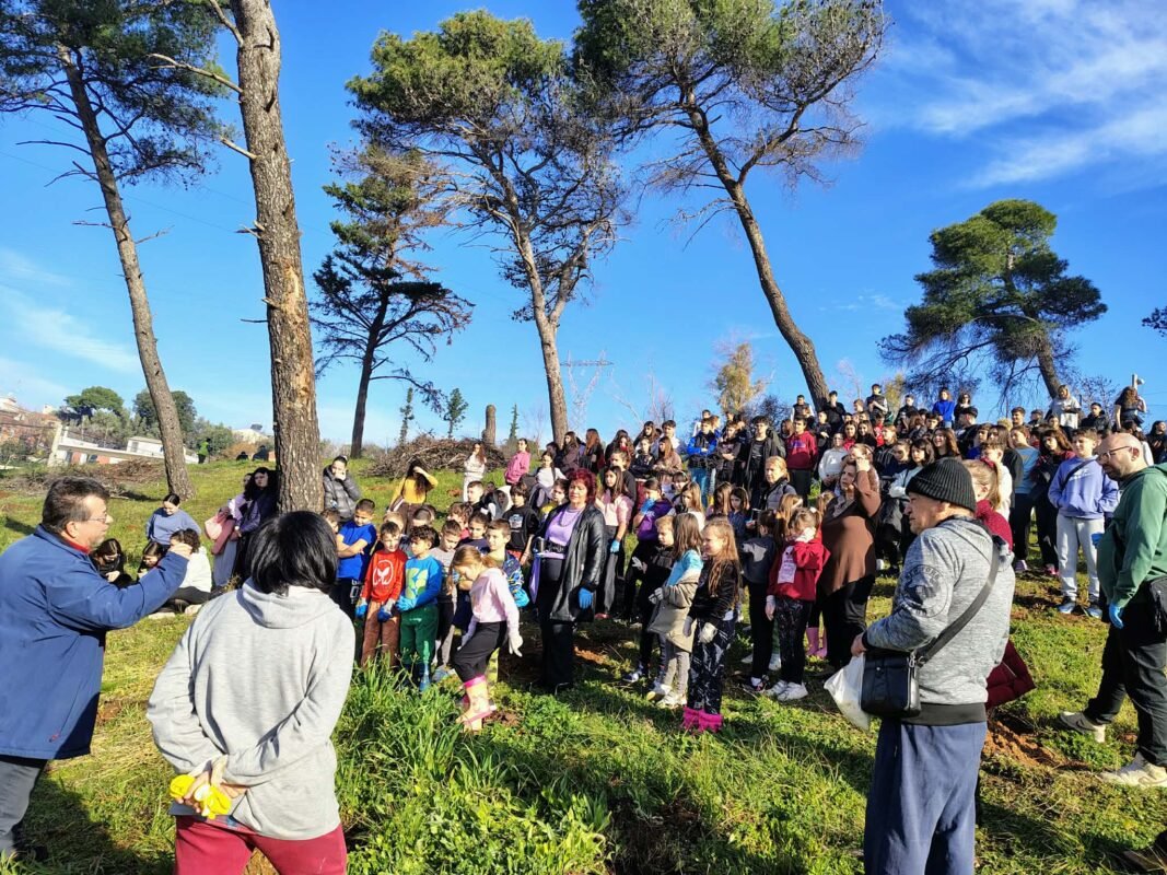 17ο ΓΥΜΝΑΣΙΟ ΚΑΙ 41ο Δ.Σ. ΕΓΛΥΚΑΔΟΣ